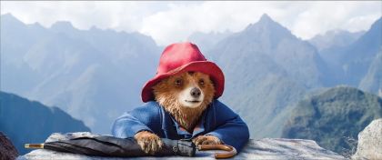 Paddington in Peru 2